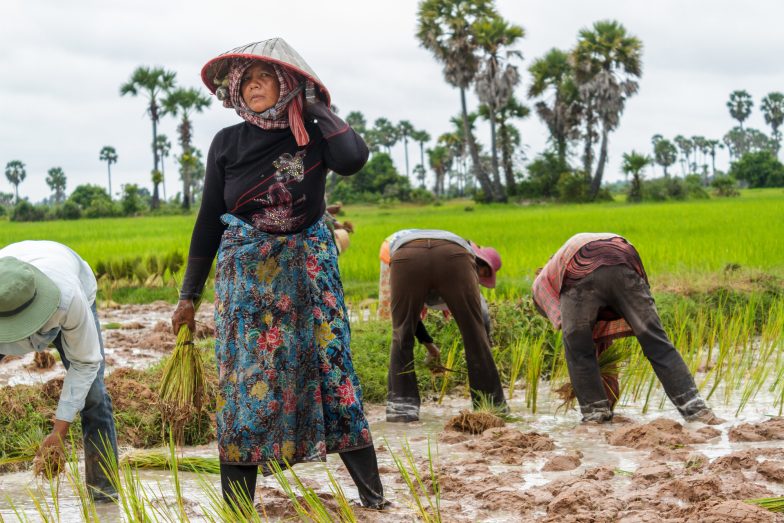 Cambodia Microfinance Association Findings Mark Retreat From Poverty ...