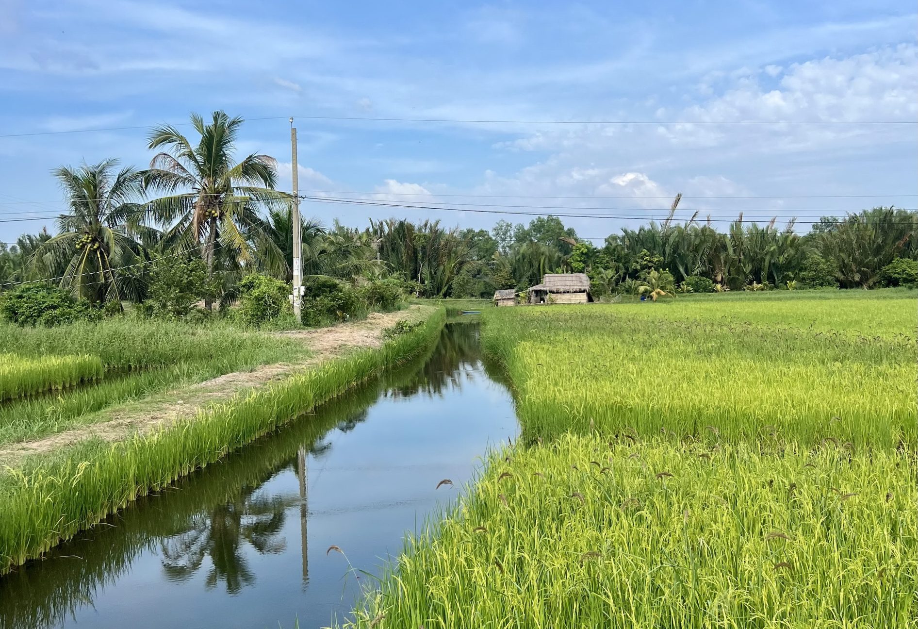 Vietnam’s Climate Solutions Are Decimating the Mekong Delta The Diplomat