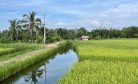 Vietnam’s Climate Solutions Are Decimating the Mekong Delta