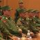 Myanmar Rebel Leader Has Been Detained in China, Report Says