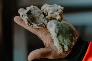 The Consequences of China’s Voracious Appetite for Illicit South African Abalone 