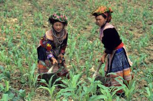 Why the SDGs Should Be Revised to Meet the Needs of Indigenous Peoples