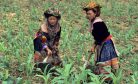 Why the SDGs Should Be Revised to Meet the Needs of Indigenous Peoples