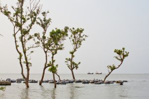 Bangladesh’s Vulnerable Coastlines on the Frontline of Climate Effects