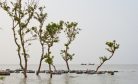 Bangladesh’s Vulnerable Coastlines on the Frontline of Climate Effects