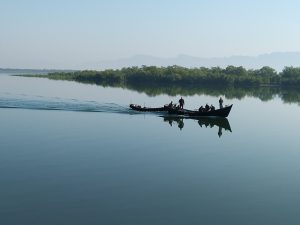 Rakhine Armed Group Responsible for Rohingya Massacre, Rights Organization Says