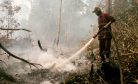 Defund Indonesia’s Deadly Peat Fires