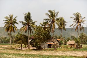 Nobel Prize-Winning Research Highlights Cambodia&#8217;s History of Extractive Institutions