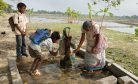 Arsenic Kills by Stealth in India&#8217;s Villages