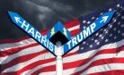 Harris vs. Trump: Who Would You Choose?