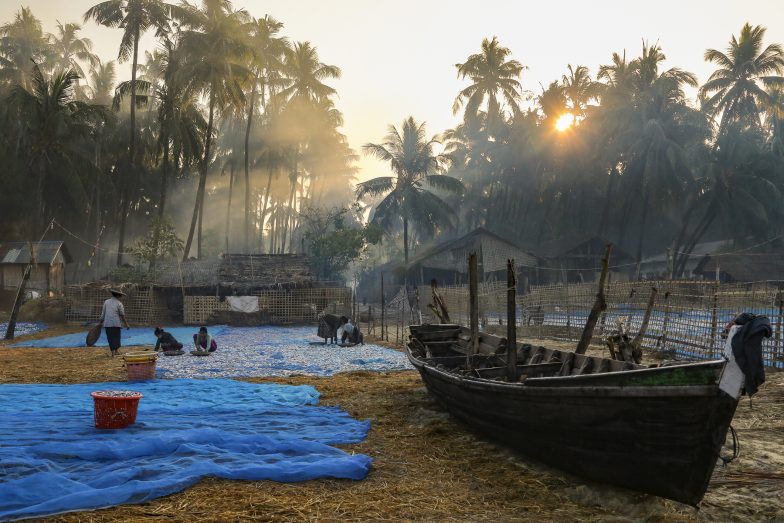 Famine Imminent in Myanmar’s Rakhine State as Economy Collapses, UN ...