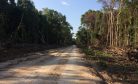 Cambodian Authorities Arrest Environmentalists For Investigating Illegal Logging