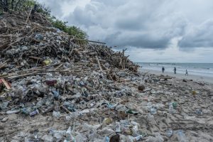 From Paradise to Plastics Pollution: Bali’s Battle Against Marine Plastics Debris