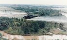 50 Years Later, Vietnam’s Environment Still Bears the Scars of War 