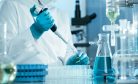 Japan’s Stem Cell Awakening