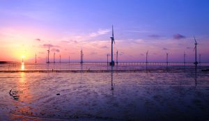 Why Vietnam Is Cutting Down Payments to Renewable Energy Developers