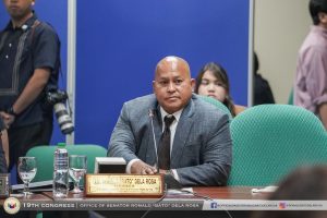 Philippine Senator Seeks Dismissal of Impeachment Case Against VP Duterte