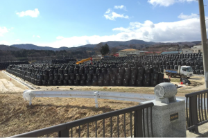 Radioactive Flower Beds and the Legacy of Fukushima