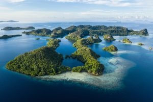 Indonesia Cancels 4 Nickel Mining Licenses After Environmental Outcry