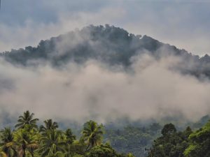 Indonesia to Punish Companies for Environmental Violations at Sulawesi Industrial Park