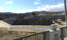 Radioactive Flower Beds and the Legacy of Fukushima