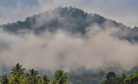 Indonesia to Punish Companies for Environmental Violations at Sulawesi Industrial Park