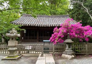 The Bodhisattva and the Shrine: Cultural Repatriation and Diplomacy in Japan-South Korea Relations