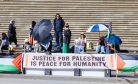 As Suffering in Gaza Mounts, Australia Condemns ‘Inhumane Killing’ of Palestinians As Suffering in Gaza Mounts, Australia Condemns ‘Inhumane Killing’ of Palestinians