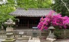 The Bodhisattva and the Shrine: Cultural Repatriation and Diplomacy in Japan-South Korea Relations The Bodhisattva and the Shrine: Cultural Repatriation and Diplomacy in Japan-South Korea Relations