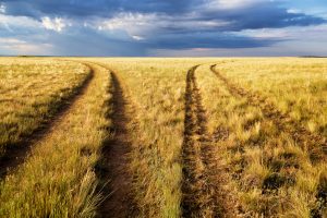What Does the Decline of Agriculture Really Mean for Central Asia’s Stability?