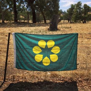 Does Australia Need a New Flag? The Case for the Golden Wattle