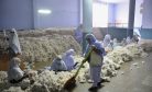 World Bank Recommends Bold Reforms to Restart Pakistan’s Poverty Reduction Efforts