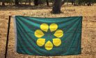 Does Australia Need a New Flag? The Case for the Golden Wattle Does Australia Need a New Flag? The Case for the Golden Wattle