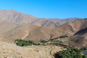 From Uzbekistan to France: The Environmental and Geopolitical Fault Lines of Exporting Uranium
