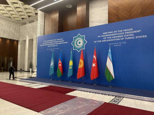 Can the Organization of Turkic States Leave Its Mark?