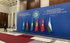 Can the Organization of Turkic States Leave Its Mark?