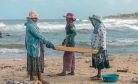 4 Years After Sri Lanka’s Worst Environmental Disaster, South Asia’s Coasts Reel from a New Spill