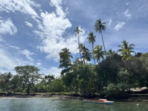 所羅門群島不想依賴中國。西方會給它一個選擇嗎？