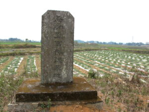 雲南謀殺案:重訪瑪格麗事件 雲南謀殺案:重訪瑪格麗事件