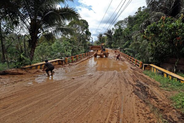 Indonesia Promises Action on Deforestation as Sumatra Flooding Toll Rises