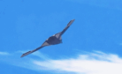 China Bets on Unmanned Stealth Bombers China Bets on Unmanned Stealth Bombers